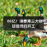 86亿！璞泰来三大锂电项目同日开工（图4）