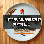 江特电机拟投建3万吨碳酸锂项目(图4) 江特电机拟投建3万吨碳酸锂项目(图4)