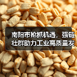 南阳市抢抓机遇,强链壮群助力工业高质量发展(图4) 南阳市抢抓机遇,强链壮群助力工业高质量发展(图4)
