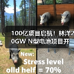 100亿项目启航!林洋20GW N型电池项目开建(图3) 100亿项目启航!林洋20GW N型电池项目开建(图3)