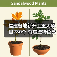 福建各地新开工重大项目280个 有这些特色亮点→(图1) 福建各地新开工重大项目280个 有这些特色亮点→(图1)