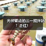 光伏驱动的三一搅拌站!走红!(图1) 光伏驱动的三一搅拌站!走红!(图1)