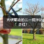 光伏驱动的三一搅拌站!走红!(图3) 光伏驱动的三一搅拌站!走红!(图3)