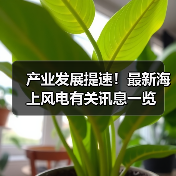 产业发展提速!最新海上风电有关讯息一览(图4) 产业发展提速!最新海上风电有关讯息一览(图4)