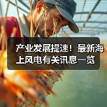 产业发展提速!最新海上风电有关讯息一览(图2) 产业发展提速!最新海上风电有关讯息一览(图2)