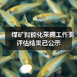 煤矿智能化采掘工作面评估结果已公示(图3) 煤矿智能化采掘工作面评估结果已公示(图3)