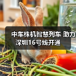 中车株机智慧列车 助力深圳16号线开通(图1) 中车株机智慧列车 助力深圳16号线开通(图1)