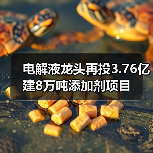 电解液龙头再投3.76亿建8万吨添加剂项目(图4) 电解液龙头再投3.76亿建8万吨添加剂项目(图4)