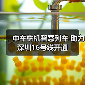 中车株机智慧列车 助力深圳16号线开通(图4) 中车株机智慧列车 助力深圳16号线开通(图4)