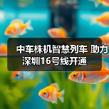 中车株机智慧列车 助力深圳16号线开通(图3) 中车株机智慧列车 助力深圳16号线开通(图3)