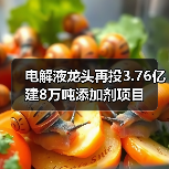 电解液龙头再投3.76亿建8万吨添加剂项目(图1) 电解液龙头再投3.76亿建8万吨添加剂项目(图1)