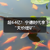 超64亿！宁德时代拿下“天价锂矿”（图4）