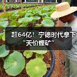 超64亿！宁德时代拿下“天价锂矿”（图1）