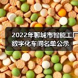 2022年聊城市智能工厂数字化车间名单公示(图4) 2022年聊城市智能工厂数字化车间名单公示(图4)