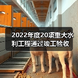 2022年度20项重大水利工程通过竣工验收(图2) 2022年度20项重大水利工程通过竣工验收(图2)