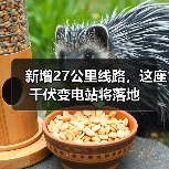 新增27公里线路,这座千伏变电站将落地(图1) 新增27公里线路,这座千伏变电站将落地(图1)