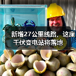 新增27公里线路,这座千伏变电站将落地(图4) 新增27公里线路,这座千伏变电站将落地(图4)