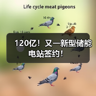 120亿!又一新型储能电站签约!(图4) 120亿!又一新型储能电站签约!(图4)