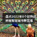 盘点2022年8个新热词 挖掘智慧城市新蓝海(图4) 盘点2022年8个新热词 挖掘智慧城市新蓝海(图4)