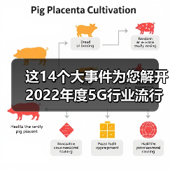 这14个大事件为您解开2022年度5G行业流行密码!(图2) 这14个大事件为您解开2022年度5G行业流行密码!(图2)