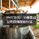 3947万元!协鑫集成子公司获得政府补贴(图2) 3947万元!协鑫集成子公司获得政府补贴(图2)