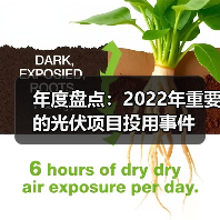年度盘点:2022年重要的光伏项目投用事件(图4) 年度盘点:2022年重要的光伏项目投用事件(图4)