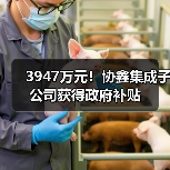 3947万元!协鑫集成子公司获得政府补贴(图3) 3947万元!协鑫集成子公司获得政府补贴(图3)