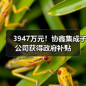 3947万元!协鑫集成子公司获得政府补贴(图4) 3947万元!协鑫集成子公司获得政府补贴(图4)