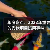 年度盘点:2022年重要的光伏项目投用事件(图1) 年度盘点:2022年重要的光伏项目投用事件(图1)