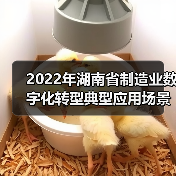 2022年湖南省制造业数字化转型典型应用场景名单(图4) 2022年湖南省制造业数字化转型典型应用场景名单(图4)