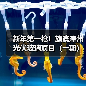 新年第一枪!旗滨漳州光伏玻璃项目(一期)竣工点火(图3) 新年第一枪!旗滨漳州光伏玻璃项目(一期)竣工点火(图3)