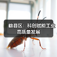 赣县区:科创赋能工业高质量发展(图1) 赣县区:科创赋能工业高质量发展(图1)