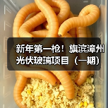 新年第一枪!旗滨漳州光伏玻璃项目(一期)竣工点火(图4) 新年第一枪!旗滨漳州光伏玻璃项目(一期)竣工点火(图4)