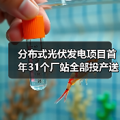 分布式光伏发电项目首年31个厂站全部投产送电(图4) 分布式光伏发电项目首年31个厂站全部投产送电(图4)
