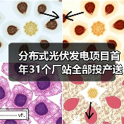 分布式光伏发电项目首年31个厂站全部投产送电(图2) 分布式光伏发电项目首年31个厂站全部投产送电(图2)
