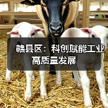 赣县区:科创赋能工业高质量发展(图4) 赣县区:科创赋能工业高质量发展(图4)