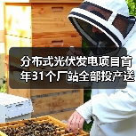 分布式光伏发电项目首年31个厂站全部投产送电(图3) 分布式光伏发电项目首年31个厂站全部投产送电(图3)