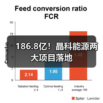 186.8亿！晶科能源两大项目落地（图4）