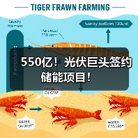 550亿!光伏巨头签约储能项目!(图3) 550亿!光伏巨头签约储能项目!(图3)