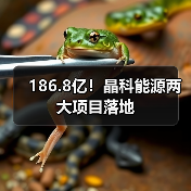 186.8亿！晶科能源两大项目落地（图1）