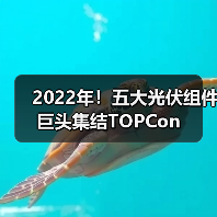2022年!五大光伏组件巨头集结TOPCon(图3) 2022年!五大光伏组件巨头集结TOPCon(图3)