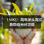 150亿!风电龙头再投异质结光伏项目(图2) 150亿!风电龙头再投异质结光伏项目(图2)