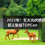 2022年!五大光伏组件巨头集结TOPCon(图2) 2022年!五大光伏组件巨头集结TOPCon(图2)