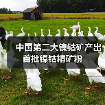 中国第二大镍钴矿产出首批镍钴精矿粉(图2) 中国第二大镍钴矿产出首批镍钴精矿粉(图2)