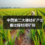 中国第二大镍钴矿产出首批镍钴精矿粉(图4) 中国第二大镍钴矿产出首批镍钴精矿粉(图4)