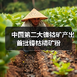 中国第二大镍钴矿产出首批镍钴精矿粉(图3) 中国第二大镍钴矿产出首批镍钴精矿粉(图3)