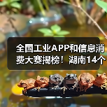 全国工业APP和信息消费大赛揭榜!湖南14个项目获奖(图3) 全国工业APP和信息消费大赛揭榜!湖南14个项目获奖(图3)
