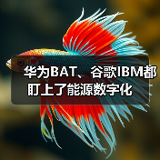 华为BAT、谷歌IBM都盯上了能源数字化(图3) 华为BAT、谷歌IBM都盯上了能源数字化(图3)