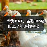 华为BAT、谷歌IBM都盯上了能源数字化(图1) 华为BAT、谷歌IBM都盯上了能源数字化(图1)