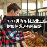 1-11月汽车制造业工业增加值增速有所回落(图3) 1-11月汽车制造业工业增加值增速有所回落(图3)